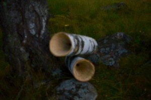 juurikaiku blur kuva